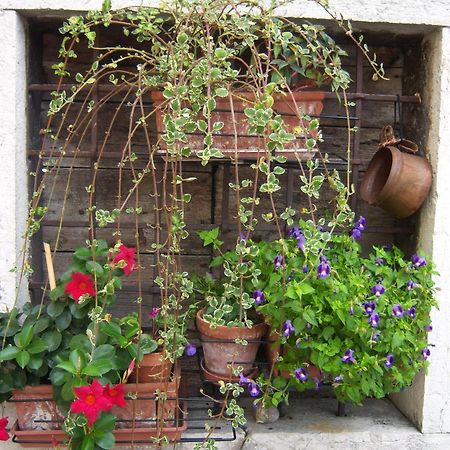 B&B Corte Barbieri Dolce Exterior photo
